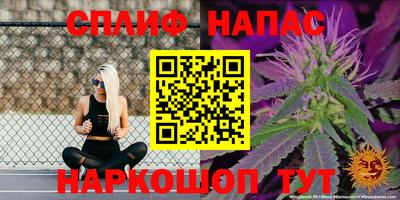 наркотики Будённовск