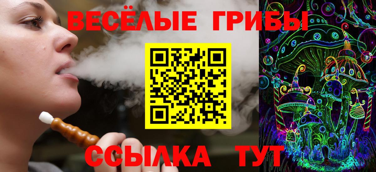 Галлюциногенные грибы Psilocybine cubensis Карасук